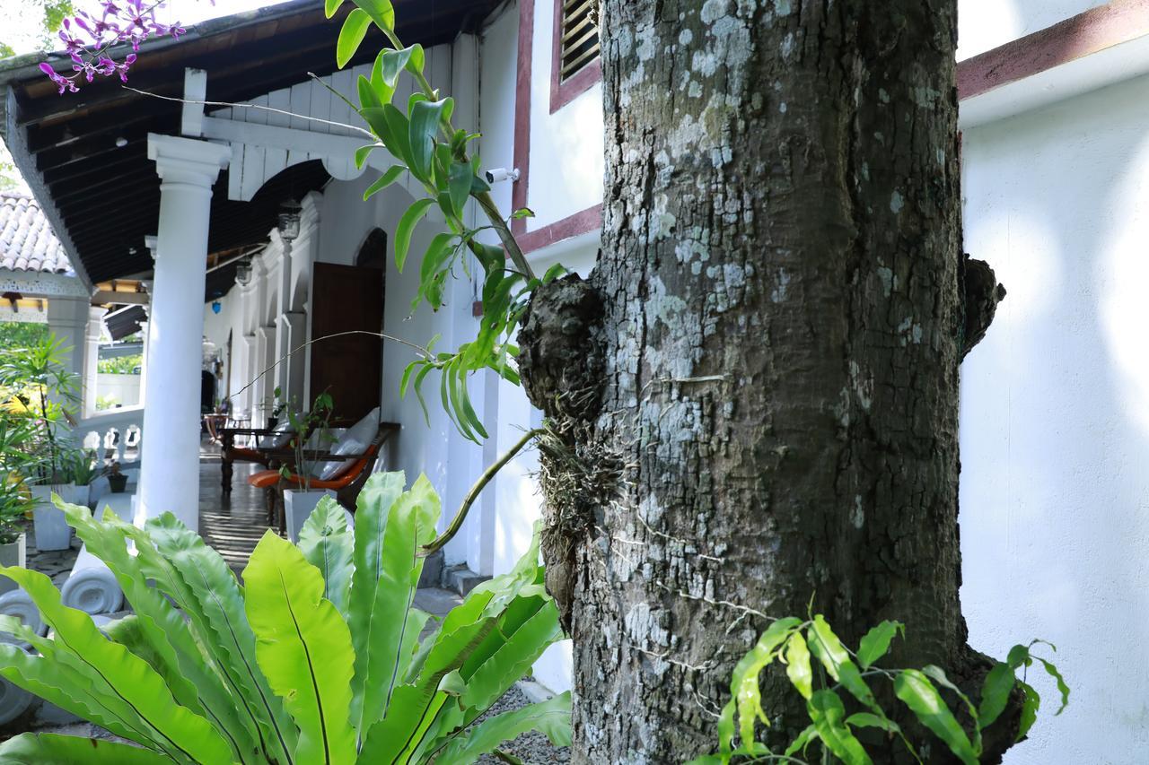 Nooit Gedacht Heritage 3* Unawatuna